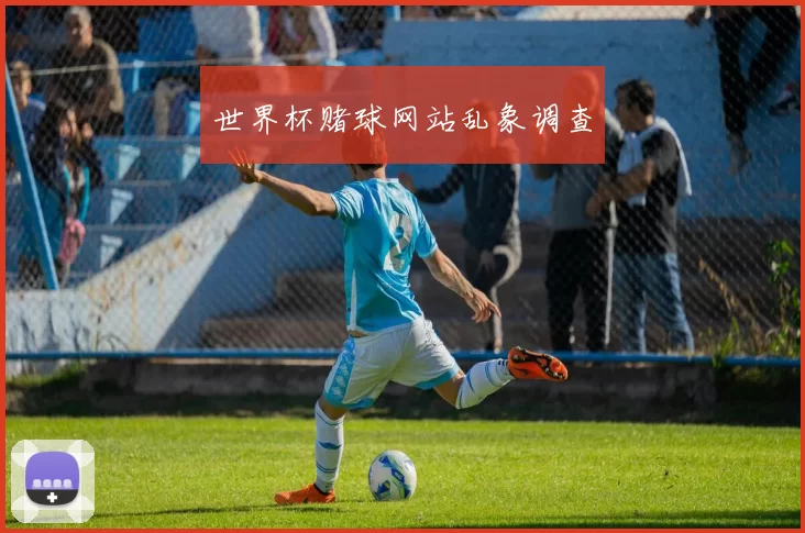 世界杯赌球网站乱象调查