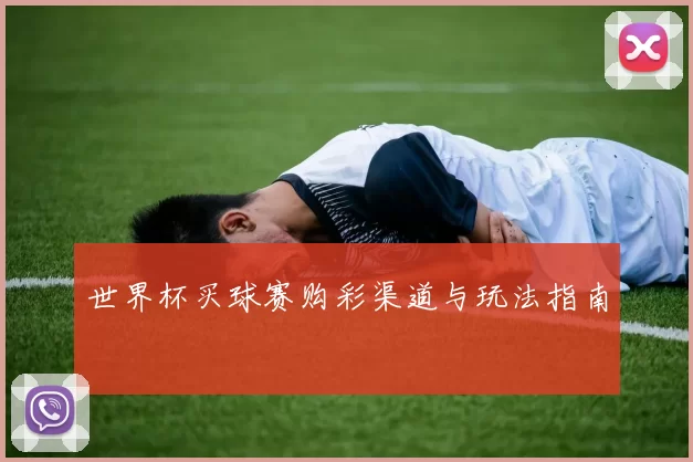 世界杯买球赛购彩渠道与玩法指南