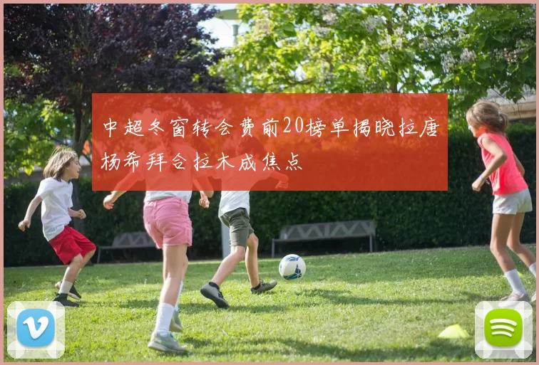 中超冬窗转会费前20榜单揭晓拉唐杨希拜合拉木成焦点