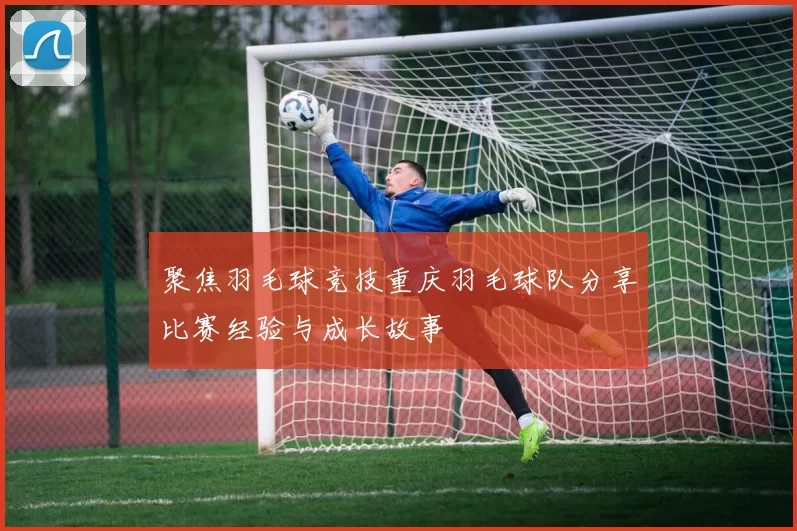 聚焦羽毛球竞技重庆羽毛球队分享比赛经验与成长故事