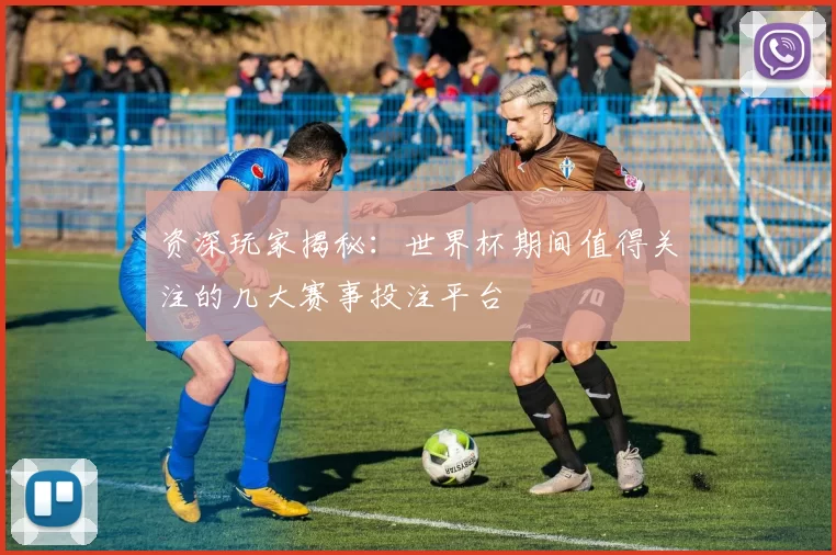 资深玩家揭秘：世界杯期间值得关注的几大赛事投注平台