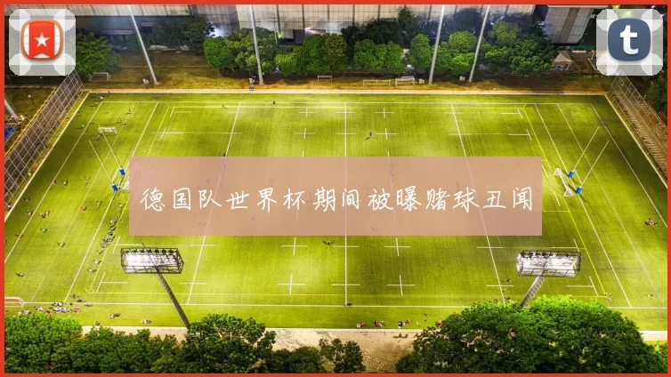 德国队世界杯期间被曝赌球丑闻