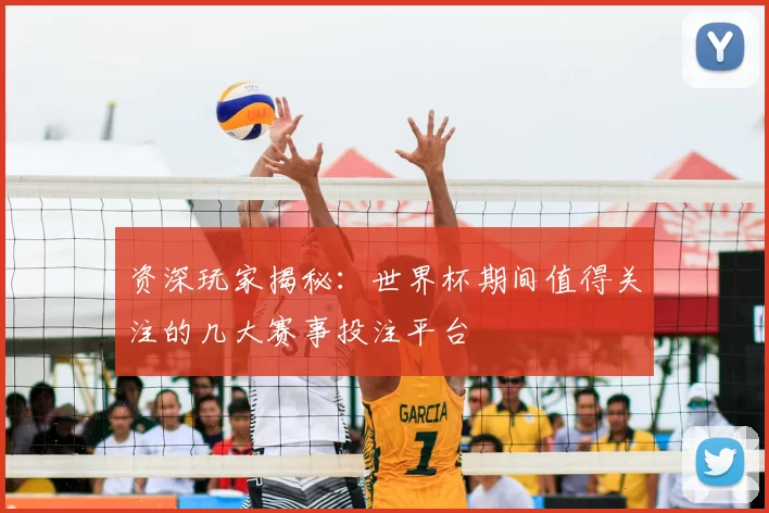 资深玩家揭秘:世界杯期间值得关注的几大赛事投注平台