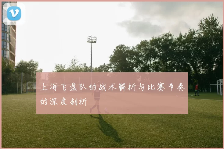 上海飞盘队的战术解析与比赛节奏的深度剖析