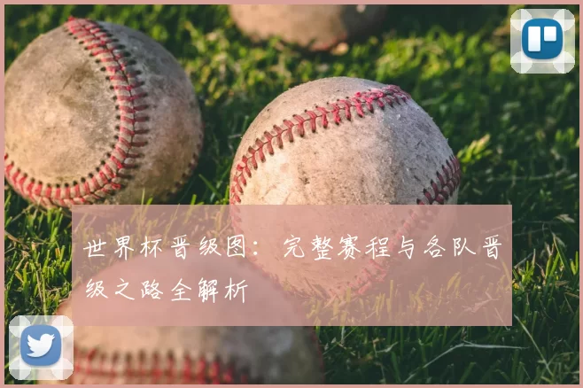 世界杯晋级图：完整赛程与各队晋级之路全解析
