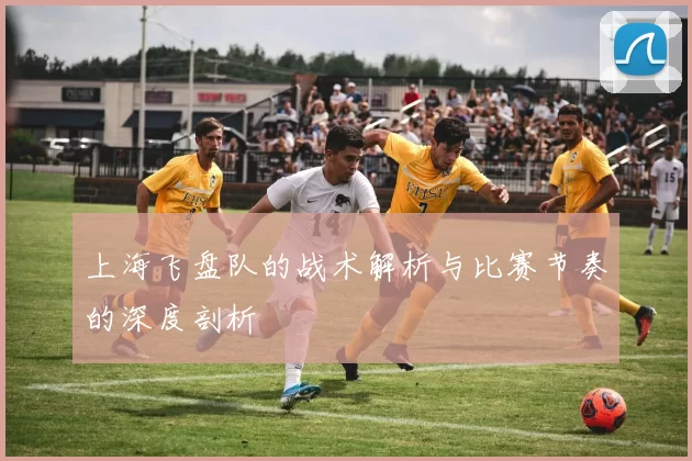 上海飞盘队的战术解析与比赛节奏的深度剖析